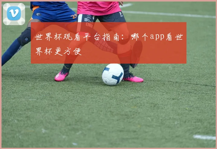 世界杯观看平台指南：哪个app看世界杯更方便