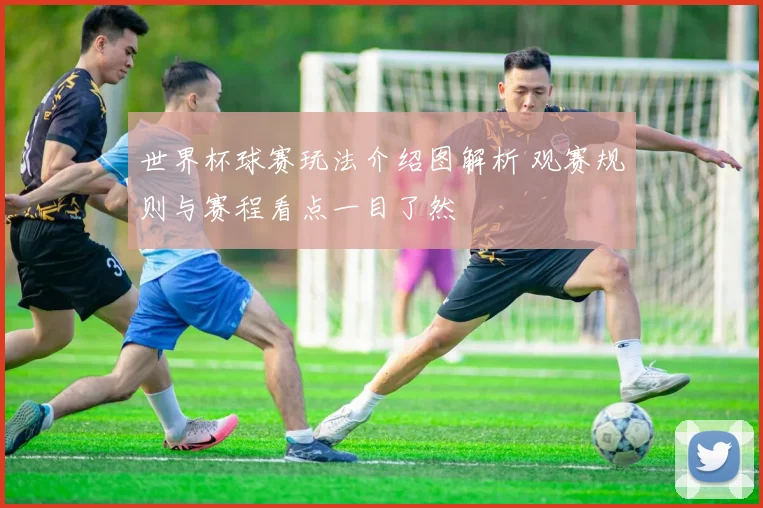 世界杯球赛玩法介绍图解析 观赛规则与赛程看点一目了然