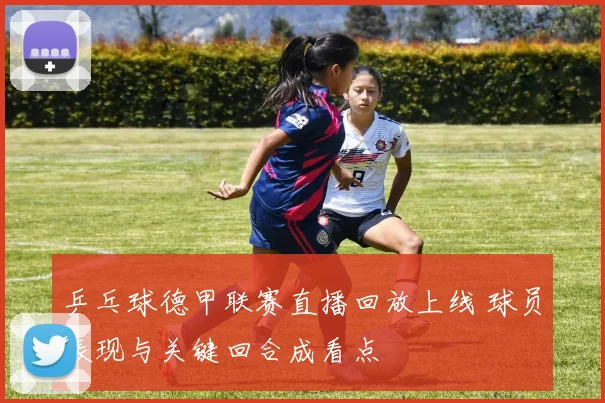 乒乓球德甲联赛直播回放上线 球员表现与关键回合成看点