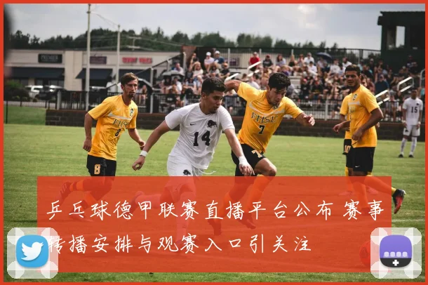 乒乓球德甲联赛直播平台公布 赛事转播安排与观赛入口引关注