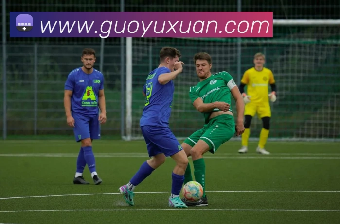 多媒体互动体验